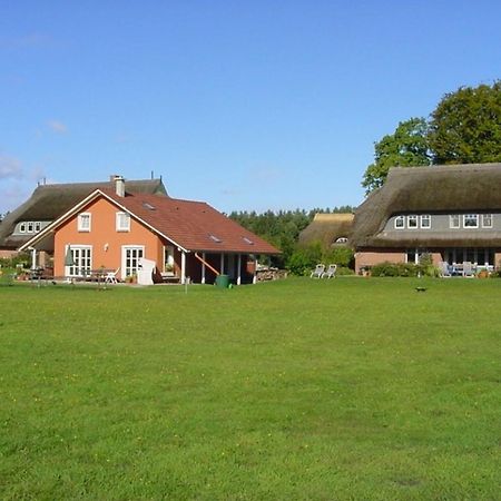 Ferienwohnung Nr 07 OG Spitzboden Born Exterior foto